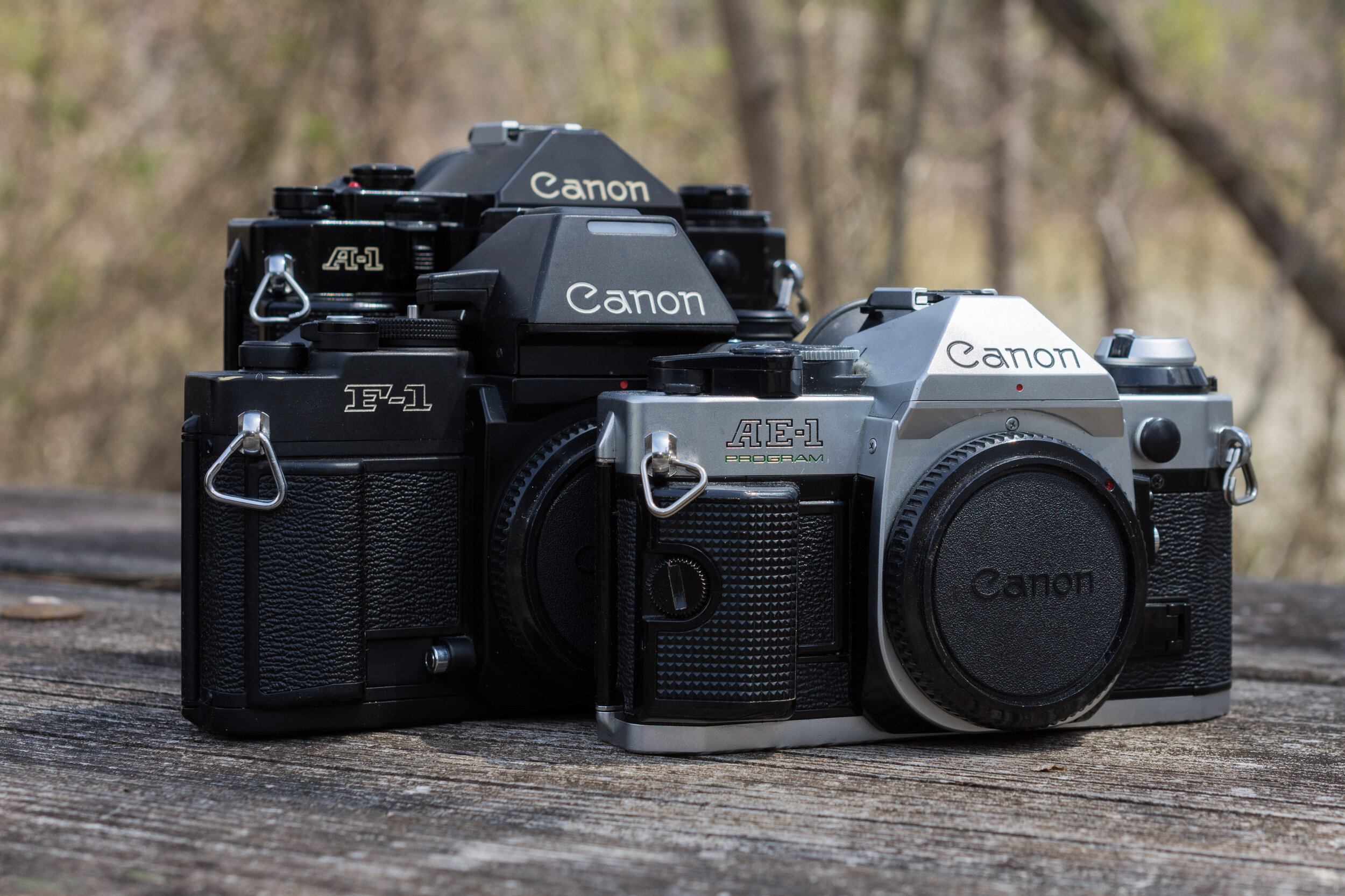 Review | Canon F1n — Gregory Couch